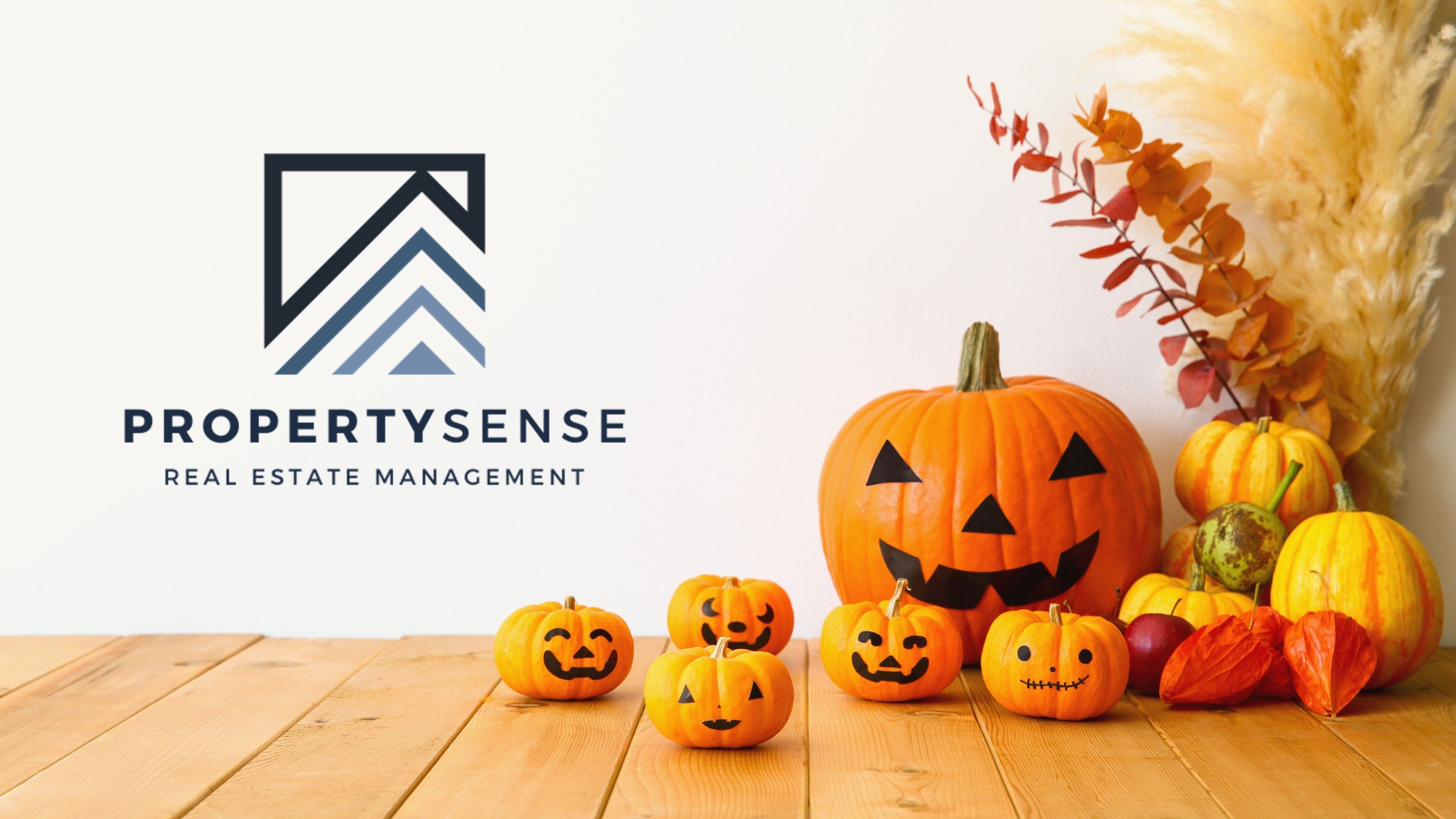 Fall Fun in the Denver Area: Pumpkin Patches, Haunted Houses, and Seasonal Adventures